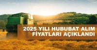 Ülkemizde hububat hasadı Mayıs ayında lokal olarak başlamıştır. Ülke genelinde hasat oranı yaklaşık %2 seviyelerindedir.

Piyasalar yakından izlenmekte olup hasadını yapan üreticilerimize depolama imkânı sağlamak amacıyla 12 Mayıs 2025’ten itibaren taahhütname karşılığı hububat alımlarına başlanmıştır.

TMO buğday ve arpa alım fiyatları Bakanlığımızca 03.06.2025’te açıklanmış olup TMO alımlarına ilişkin detaylı bilgiler ve diğer ürün gruplarının fiyatları aşağıda belirtilmiştir.