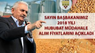 Ülkemizde 2018 yılı hasadı Mayıs ayının ilk haftası Çukurova ve Güneydoğu Anadolu Bölgesinde başlamıştır.

Türkiye genelinde hasat, bugün itibariyle buğday ve arpada %1 seviyesindedir.

Hasat başlangıcından bugüne kadar piyasalar yakından izlenmiş ve piyasaların seyrine göre TMO politikaları şekillendirilmiştir.

Bu yıl TMO tarafından hububat alımlarında izlenecek politikalar şunlardır: