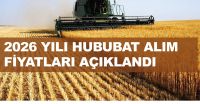 &Uuml;lkemizde hububat hasadı Mayıs ayı sonunda lokal alanlarda başlamıştır.
Piyasalar yakından izlenmekte olup hasadını yapan &uuml;reticilerimize depolama imk&acirc;nı sağlamak amacıyla 21 Mayıs 2026&rsquo;dan itibaren taahh&uuml;tname karşılığı &uuml;r&uuml;n kabullerine başlanmıştır.